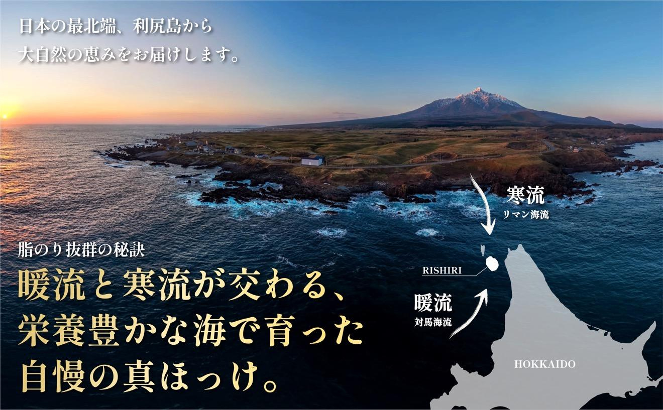 干物 ホッケ 一夜干し 3枚 | 開きほっけ 北海道 利尻産 真ほっけ 肉厚 無添加 約1kg前後 ひもの 冷凍 ギフト 焼き魚 約６食分 [1060144]
