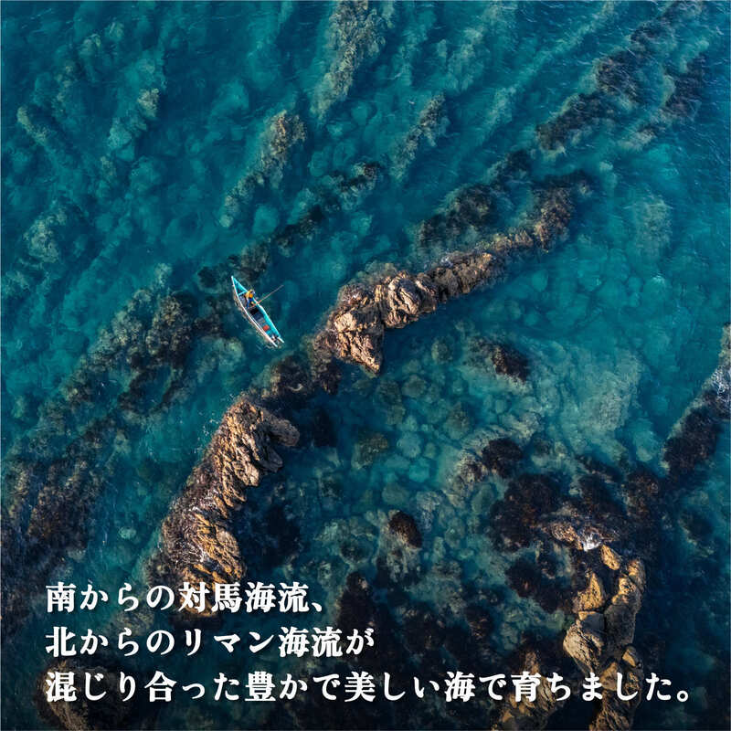 利尻昆布 北海道 利尻産 おしゃぶり利尻昆布 40g×5袋 おしゃぶり昆布 昆布 こんぶ コンブ おやつ お菓子 菓子 海産物 高級 食材 加工食品 乾物 利尻