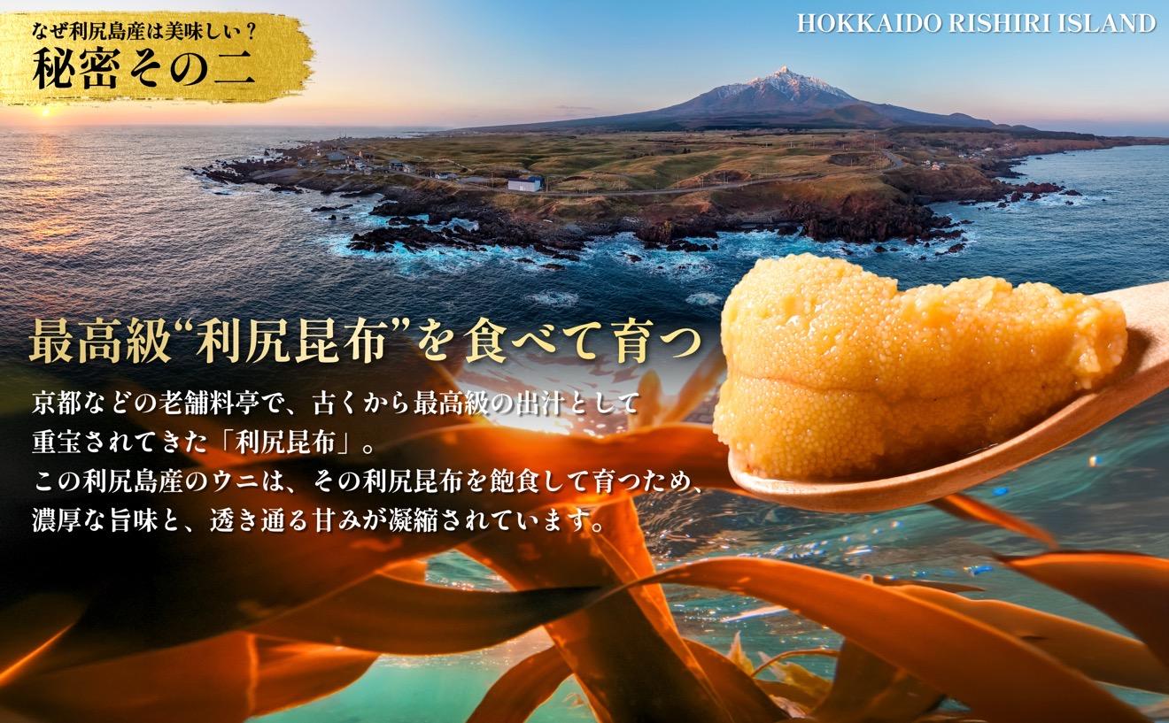 【2026年発送受付】漁師厳選！利尻天然うに”プレミアム”ムラサキウニ 100g塩水パック【2026年6～8月発送分】｜北海道 天然 朝獲れ 塩水ウニ 無添加 ミョウバン不使用 [1060075]