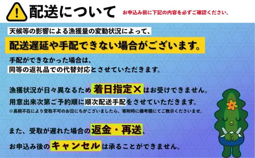 【2026年発送受付】漁師厳選！利尻産キタムラサキウニ100g 利尻昆布育ちのウニ100g×1p【2026年6～8月発送分】｜北海道 天然 朝獲れ 塩水ウニ 無添加 ミョウバン不使用 [1060087]