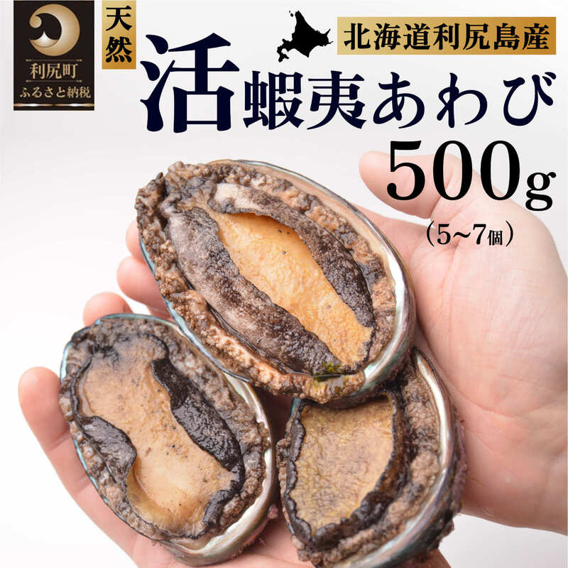 【10月中旬〜12月期間限定】利尻島産 天然蝦夷『活』アワビ500g※オンライン決済限定