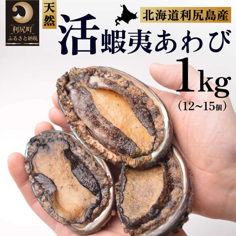 【10月中旬〜12月期間限定】利尻島産 天然蝦夷『活』アワビ1kg※オンライン決済限定