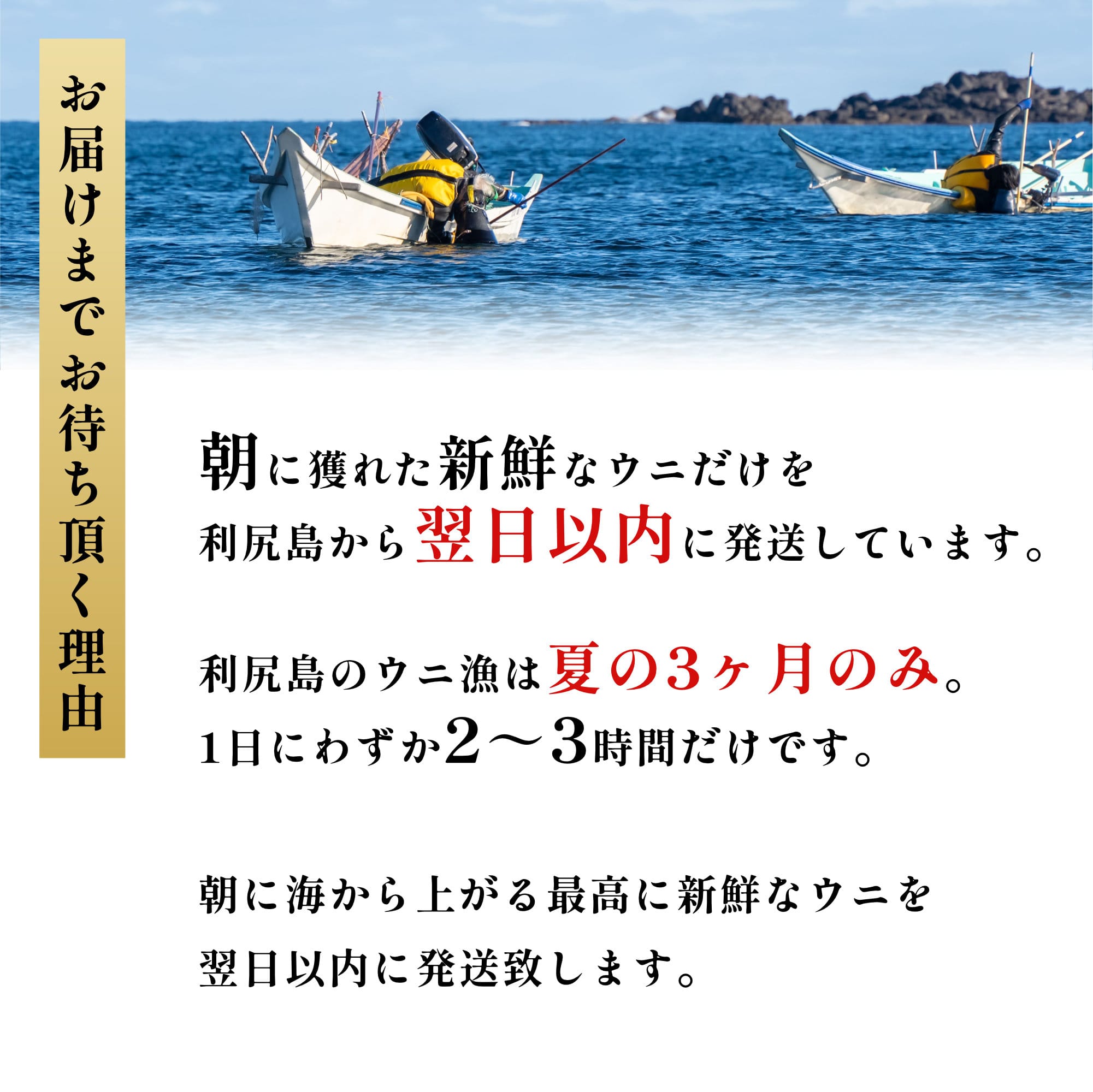  [2025年6月出荷開始先行受付] 北海道 利尻島産 塩水生うに（ムラサキウニ）85g×3パック ウニ 塩水ウニ