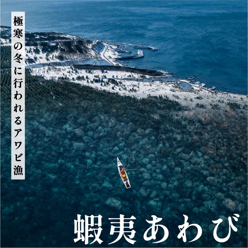 北海道利尻島産 天然〈活〉蝦夷アワビ1kg（9〜13個）【10月下旬〜12月下旬発送】