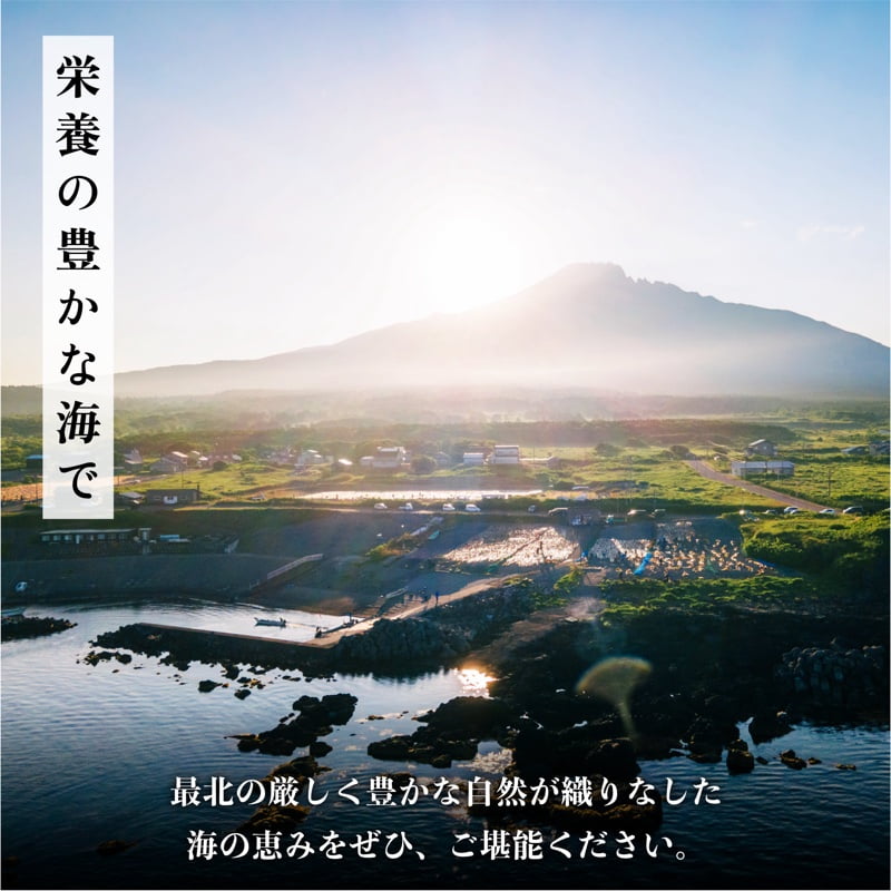 利尻島産　いくら醤油漬け 1kg（500g×2パック）