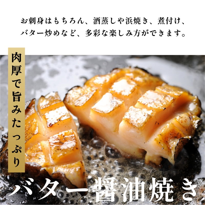 北海道利尻島産 天然〈活〉蝦夷アワビ500g（5〜7個）【10月下旬〜12月下旬発送】