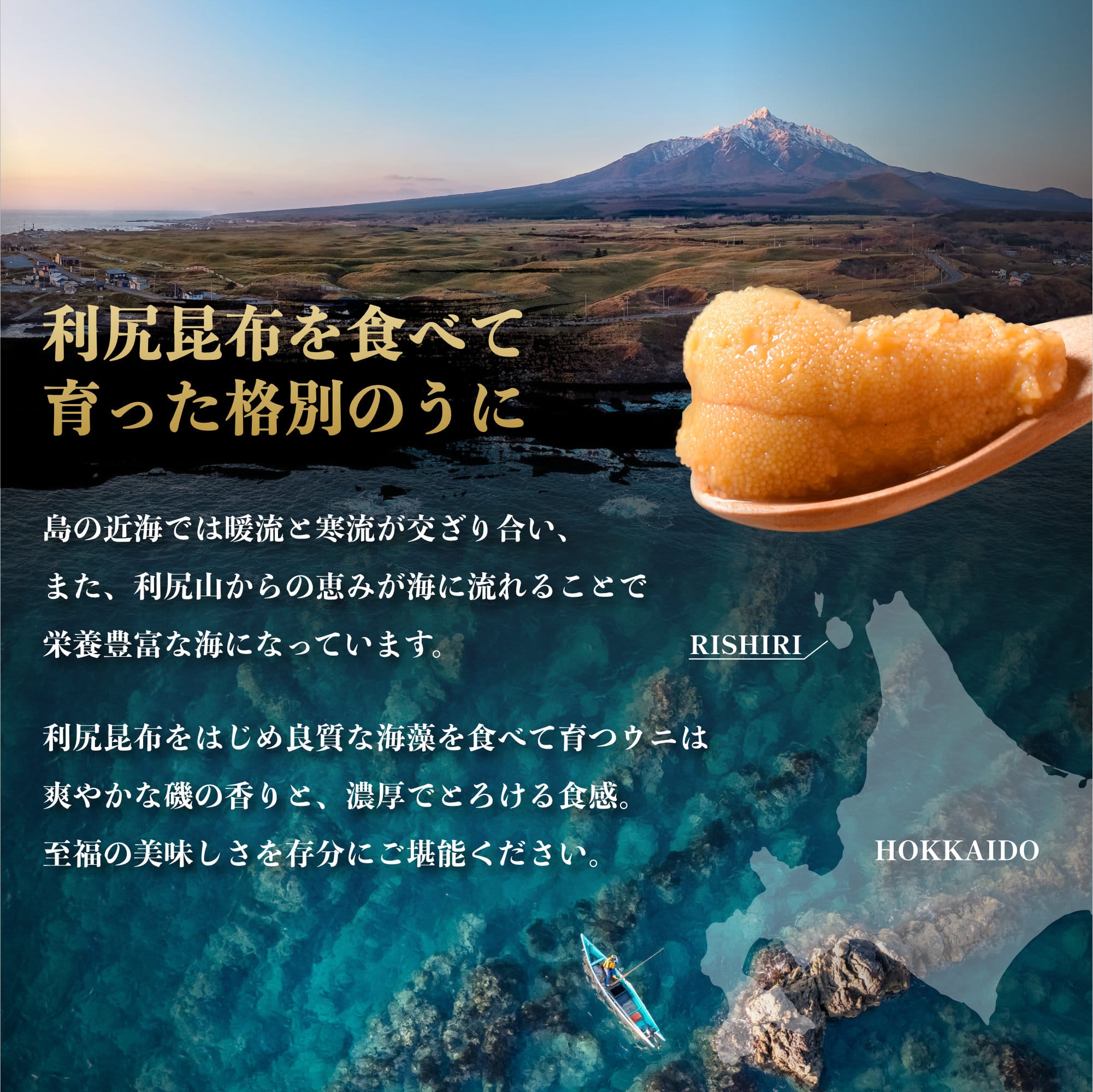 利尻島産 塩水 生うに むらさきうに90g×1■2025年6月より順次出■ 先行受付 ウニ 利尻 