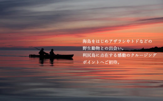 【エメラルドグリーンの海を満喫！】利尻島シーカヤックツアー（60分）☆ペア体験チケット