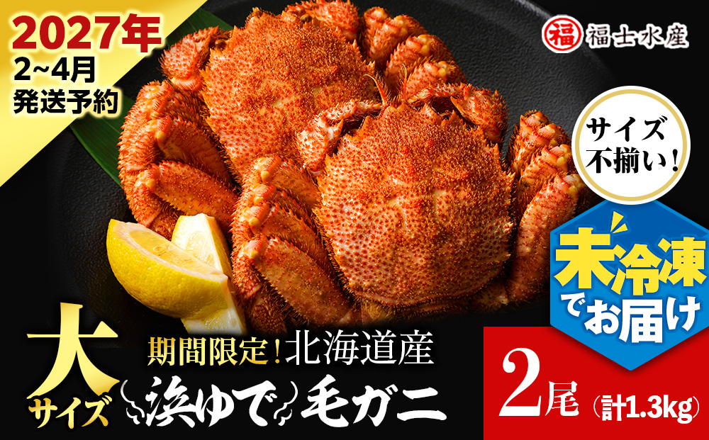 【2027年発送予約】チルドでお届け！ 浜茹で毛ガニ大サイズ２尾（不揃い合計約1.3kg） 〈福士水産〉