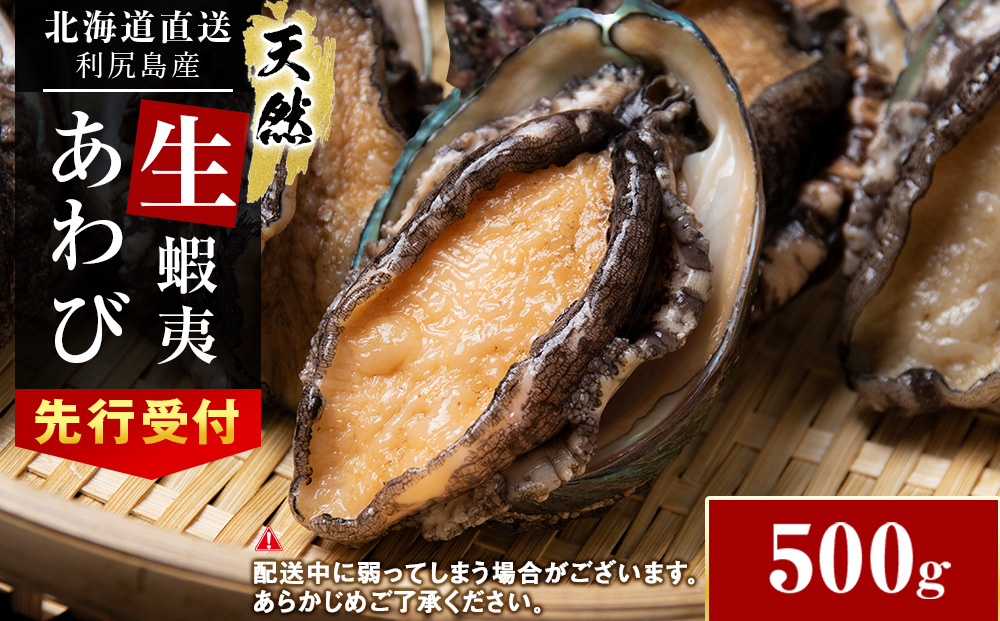 【2026年発送予約】北海道 利尻島産 直送！天然 生えぞあわび 500g 鮑 海鮮 冷蔵 お刺身 魚介 お祝い 鮑 活き 天然【福士水産】