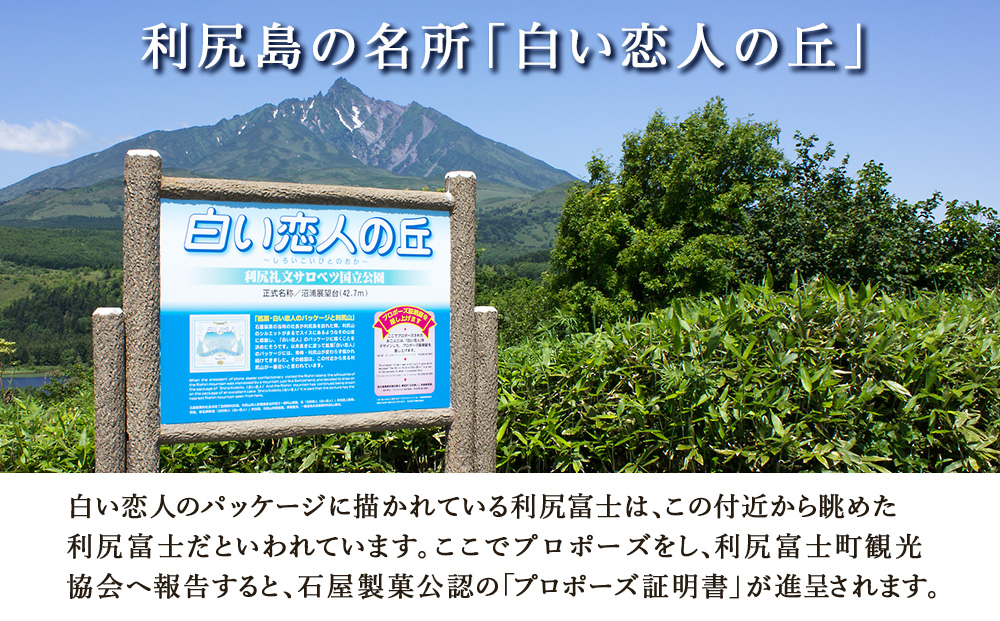 【白い恋人に描かれた利尻山】白い恋人（ホワイト＆ブラック）54枚入 お菓子 おやつ クッキー食べ比べ 焼き菓子 クッキー缶 北海道 お土産