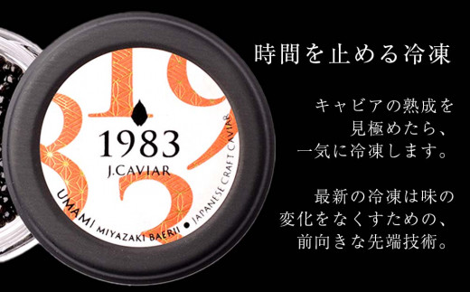 【和風キャビア】1983 JCAVIAR BAERII UMAMI 10個(20g×10）
