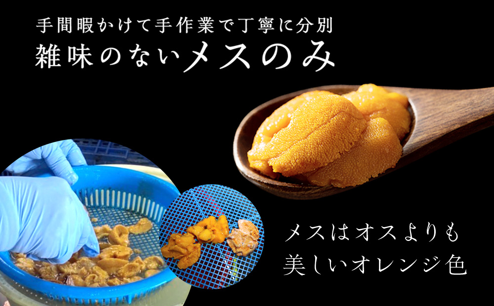 ★2026年8月発送★ 北海道 利尻島産 塩水生うに キタムラサキウニ 200g (100g×2パック)【福士水産】