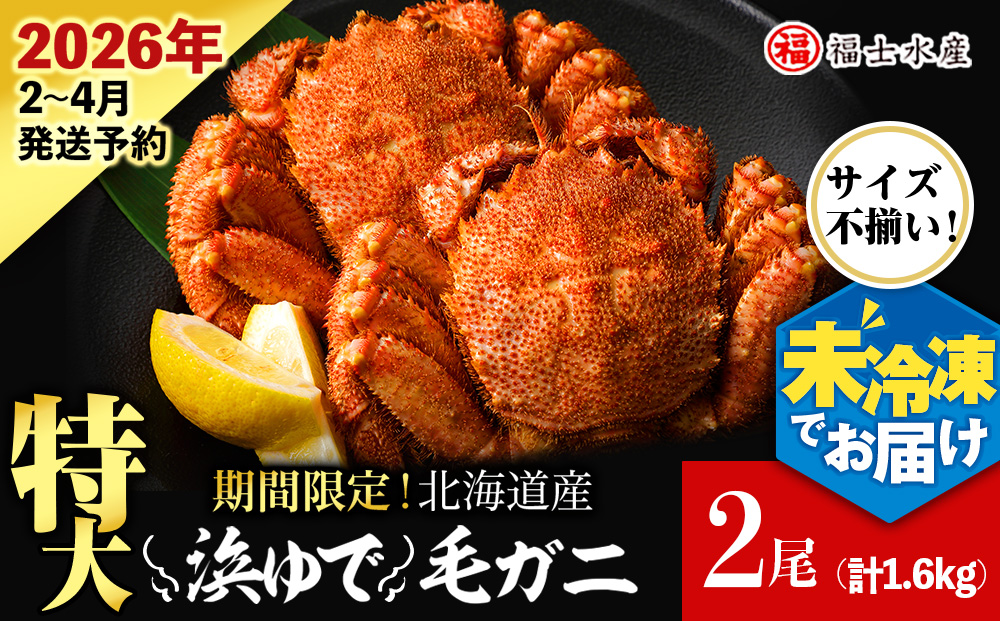【2026年発送予約】チルドでお届け！ 浜茹で毛ガニ特大２尾（不揃い合計約1.6kg） 〈福士水産〉