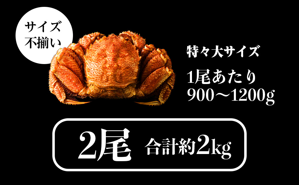 ã2027幎çºéäºçŽããã«ãã§ãå±ãïŒ æµè¹ã§æ¯ã¬ãç¹ã
倧ïŒå°ŸïŒäžæãåèšçŽ2kgïŒ ãçŠå£«æ°Žç£ã