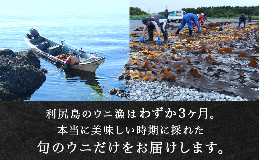 【2024年7月発送】キタムラサキウニ 100g (100g×1パック) ＜利尻漁業協同組合＞