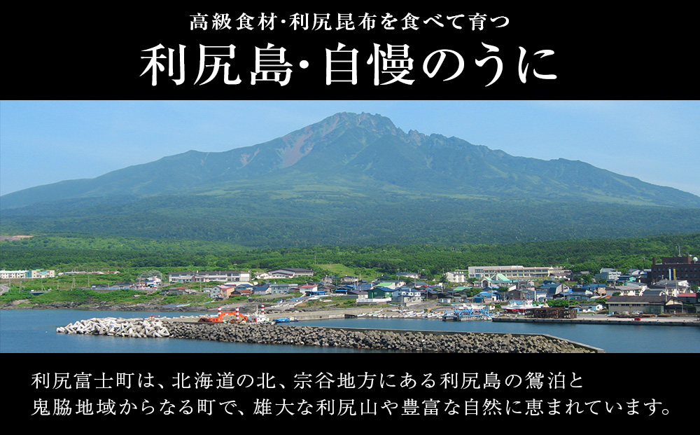 2026蟷エ逋コ騾∽コ育エ 蛻ゥ蟆サ蟲カ逕」 蝪ゥ豌エ繝繝ゥ繧オ繧ュ繧ヲ繝 100ス <譏蟶螻狗・槫オ陦>