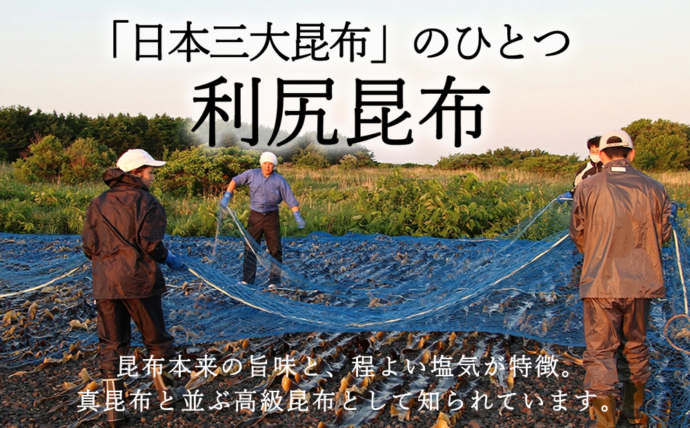 å©å°»åãæåžïŒ1å°è¢2æå
¥Ã5è¢ïŒ1ã»ãããæåžå±ç¥å
µè¡ã