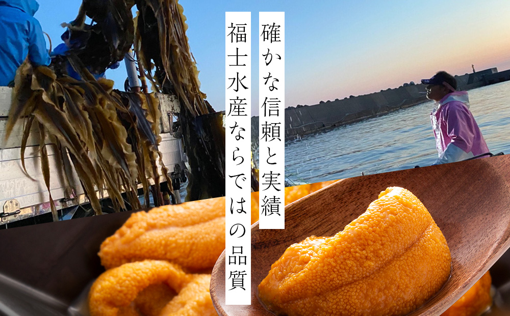 ★2026年7月発送★ 北海道 利尻島産 塩水生うに エゾバフンウニ 100g (100g×1パック)【福士水産】