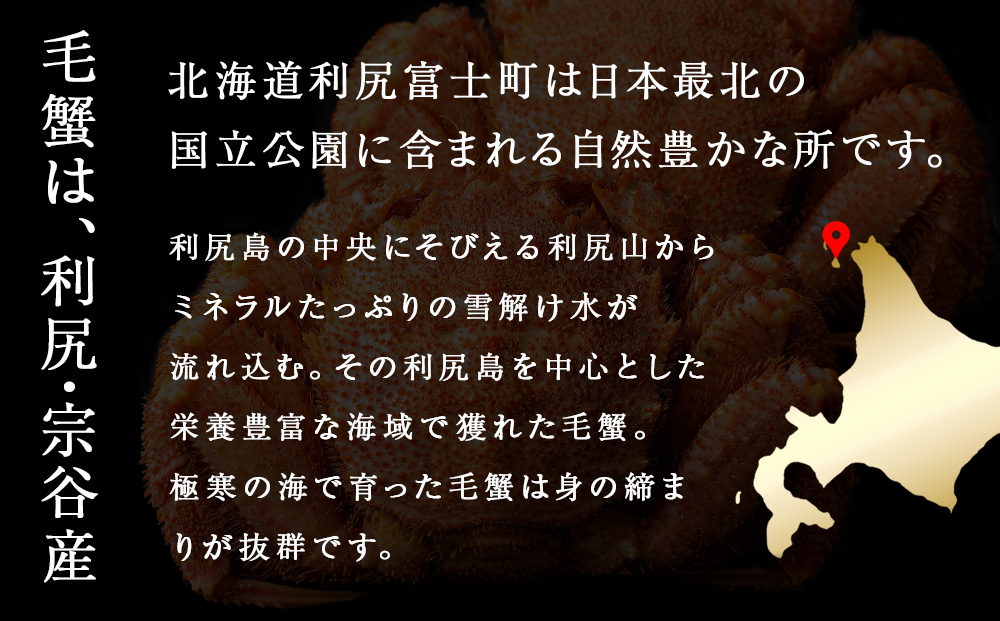 北海道 利尻・宗谷産 毛ガニ 特大サイズ（900g前後） 1尾＜利尻漁業協同組合＞