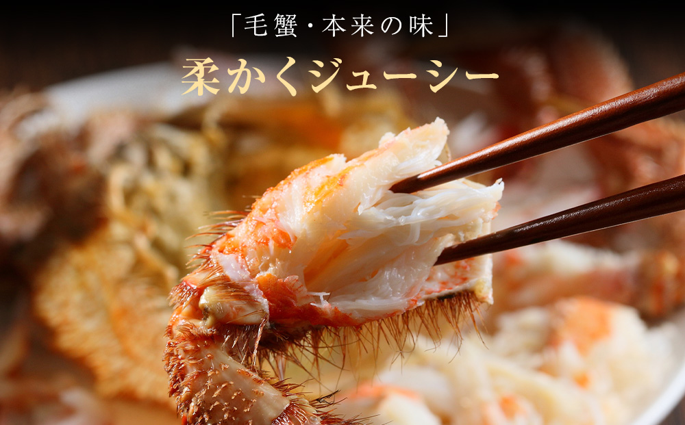 北海道 利尻・宗谷産 毛ガニ 特大サイズ（900g前後） 1尾＜利尻漁業協同組合＞