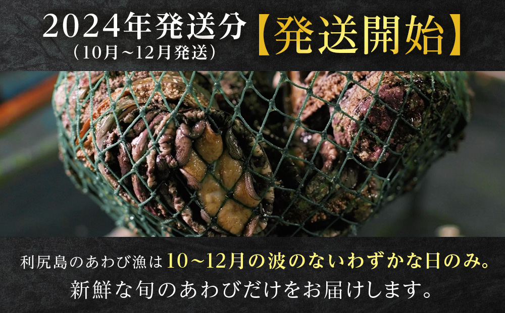 【発送開始】北海道 利尻島産 直送！天然 活えぞあわび 500g 鮑 海鮮 冷蔵 お刺身 魚介 お祝い 鮑 活き 天然【福士水産】