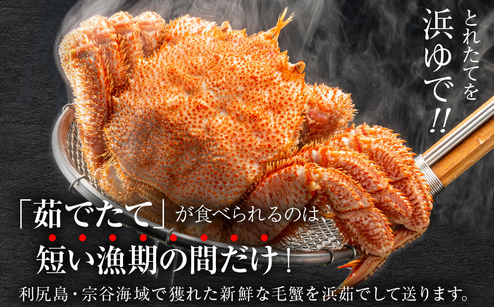 【2026年発送予約】チルドでお届け！ 浜茹で毛ガニ大サイズ２尾（不揃い合計約1.3kg） 〈福士水産〉