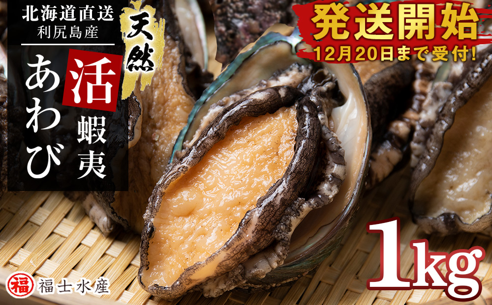 【発送開始】北海道 利尻島産 直送！天然 活えぞあわび１kg 鮑 海鮮 冷蔵 お刺身 魚介 お祝い 鮑 活き 天然【福士水産】