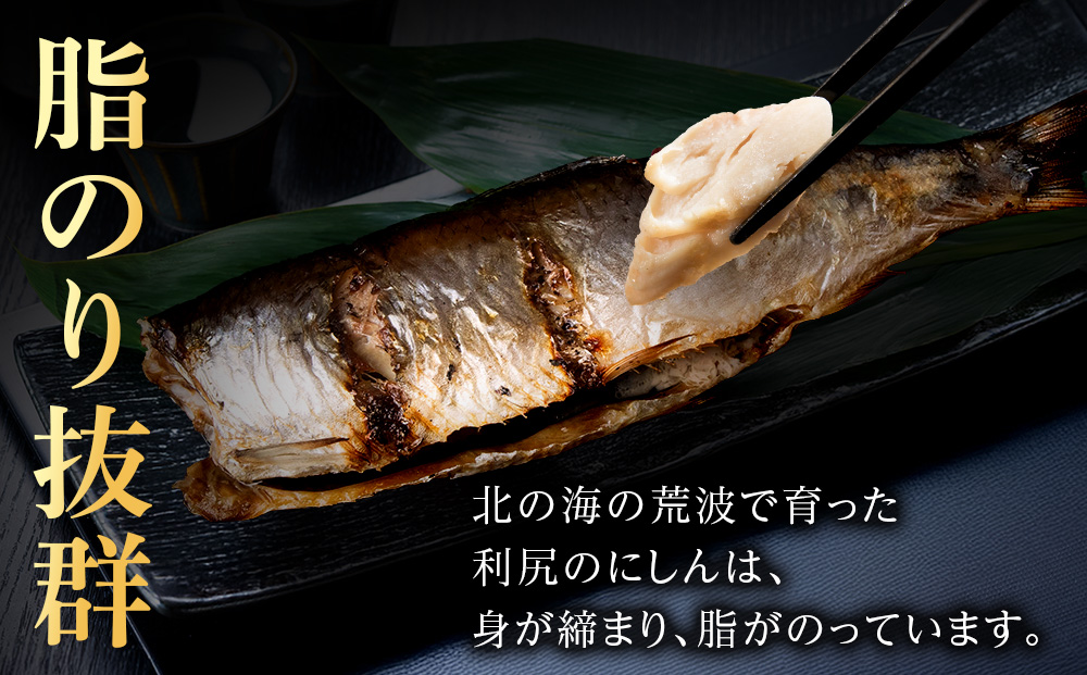 蛻ゥ蟆サ蟲カ逕」 邉蝪ゥ繝九す繝ウシ托シ仙ーセシ懷茜蟆サ貍∵・ュ蜊泌酔邨蜷茨シ
