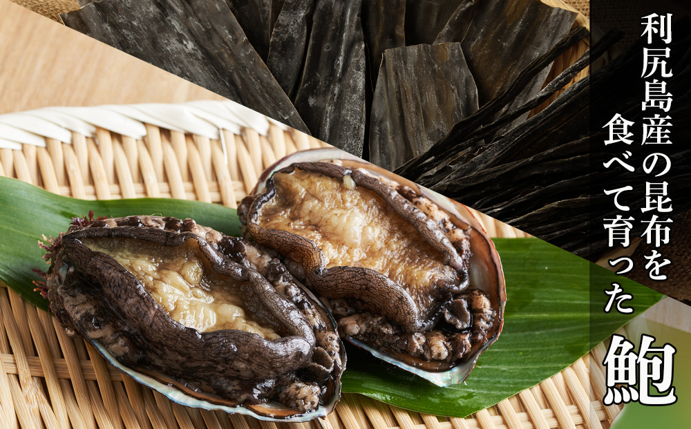 利尻島産・あわび醤油煮 4缶《利尻漁業協同組合》