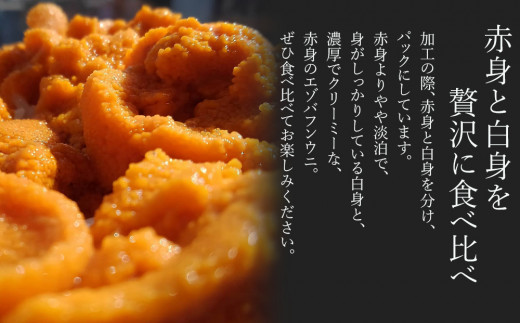 2026年発送予約 塩水エゾバフンウニ 100g×2P ＆ 昆布まみれソース 180ml×2本 昆布屋神兵衛
