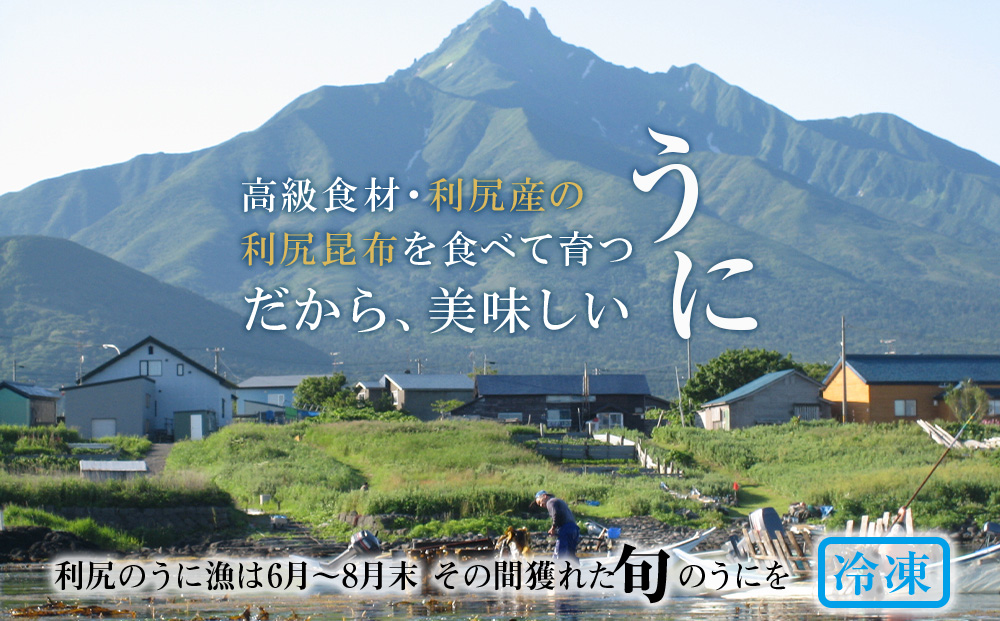 〜ウニのルイベ〜バフンウニとキタムラサキの紅白セット合計４パック！(1パック100g)＜利尻漁業協同組合＞