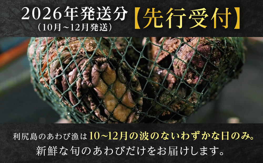 【2026年発送予約】北海道 利尻島産 直送！天然 生えぞあわび 500g 鮑 海鮮 冷蔵 お刺身 魚介 お祝い 鮑 活き 天然【福士水産】