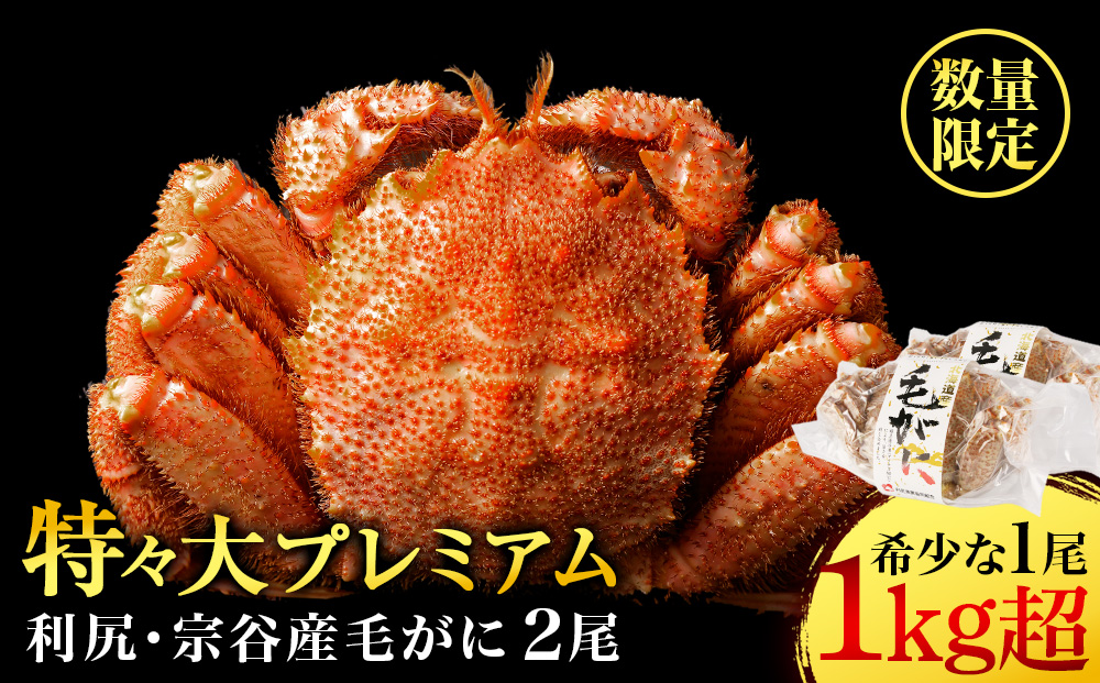 ã2025幎4æä»¥éçºéãåæµ·é å©å°»ã»å®è°·ç£ æ¯ã¬ã ãã¬ãã¢ã ïŒ1kg以äžïŒ 2å°Ÿã»ãã ïŒå©å°»æŒæ¥ååçµåïŒ