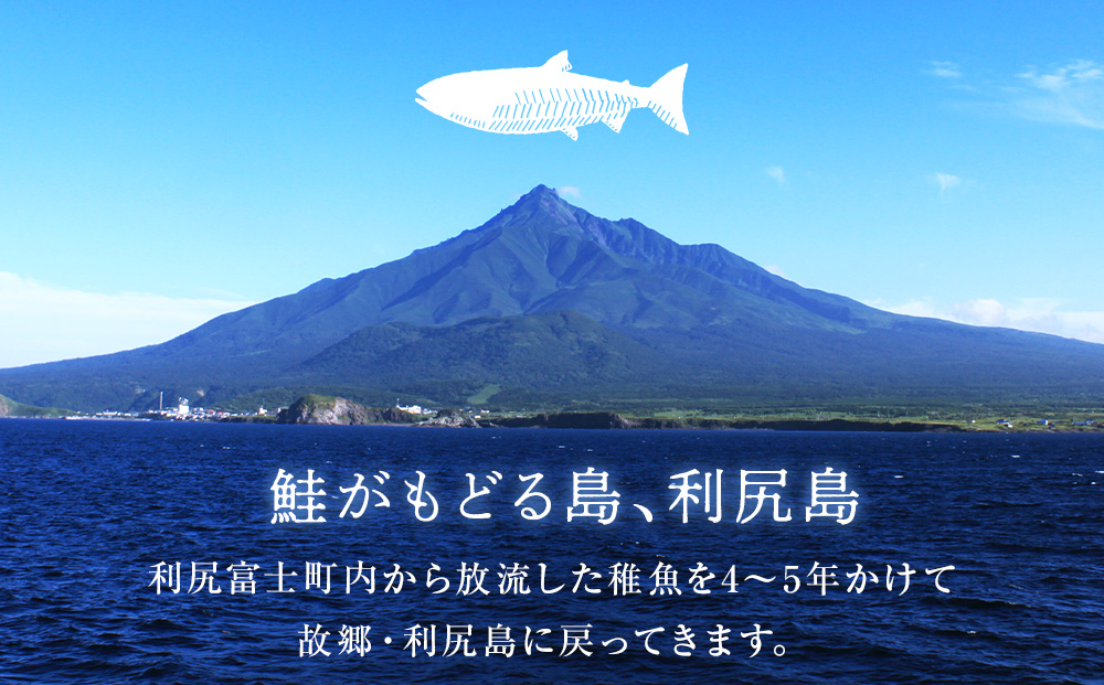 鮭の酒粕漬 7パック14食分 鮭 切り身 酒粕漬 酒粕 さかな 酒かす 魚 加工品 利尻漁業協同組合 佐藤水産 匠の酒粕漬