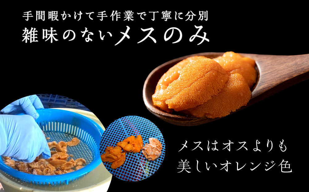 ★2026年7月発送★ 北海道 利尻島産 塩水生うに エゾバフンウニ 100g (100g×1パック)【福士水産】