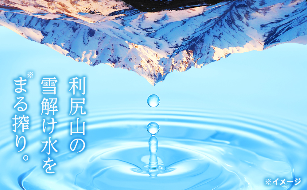 【定期便】天然ケイ素水リシリア(2L×12本)×3回(2ヶ月毎)