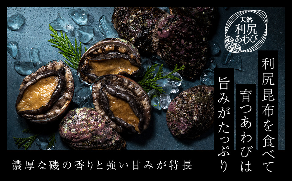 螟ゥ辟カ蛻ゥ蟆サ縺ゅo縺ウ縺励c縺カ縺励c縺カ 蛻ゥ蟆サ譏蟶莉慕ォ九※縲∫音陬ス閧昴た繝シ繧ケ莉倥″シ茨シ剃ココ蜑搾シ