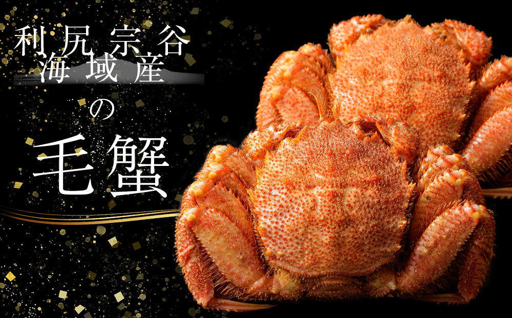 北海道 利尻・宗谷産 毛ガニ 特大サイズ（900g前後） 1尾＜利尻漁業協同組合＞