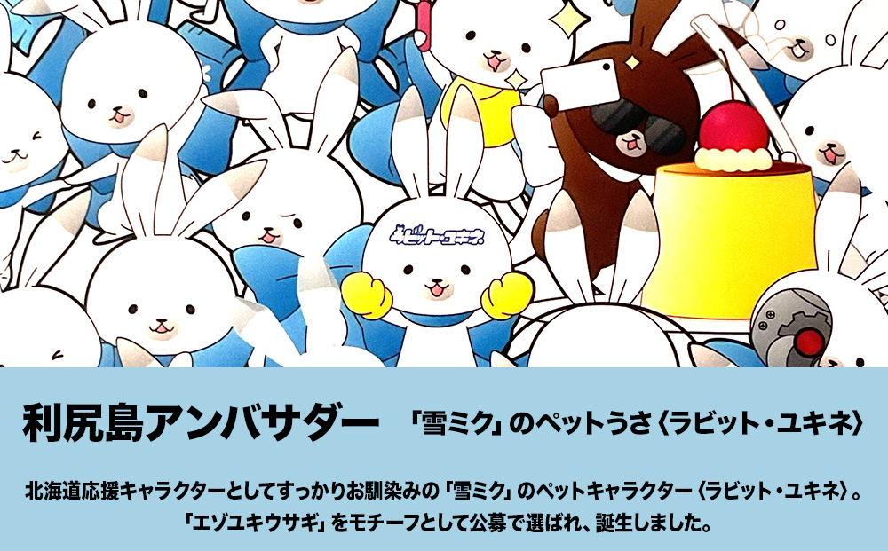 【雪ミク　スカイタウン限定】ラビット・ユキネ ブランケット（たかくら）