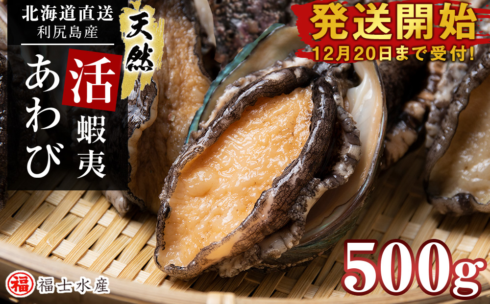 【発送開始】北海道 利尻島産 直送！天然 活えぞあわび 500g 鮑 海鮮 冷蔵 お刺身 魚介 お祝い 鮑 活き 天然【福士水産】