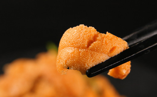 2026年発送予約 利尻島産 塩水エゾバフンウニ 100ｇ 昆布屋神兵衛