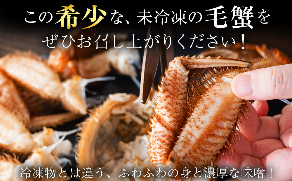 縲2026蟷エ逋コ騾∽コ育エ縲代メ繝ォ繝峨〒縺雁ア翫¢シ 豬懆源縺ァ豈帙ぎ繝狗音螟ァシ泌ーセシ井ク肴純縺蜷郁ィ育エ3.2kgシ 縲育ヲ丞」ォ豌エ逕」縲