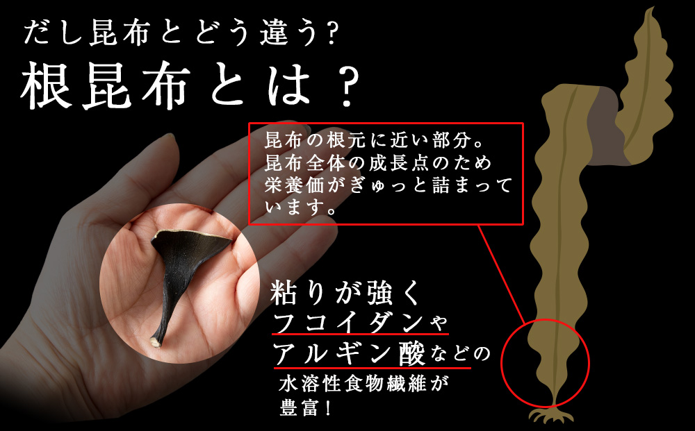 利尻島産 根昆布 6袋セット＜利尻漁業協同組合＞