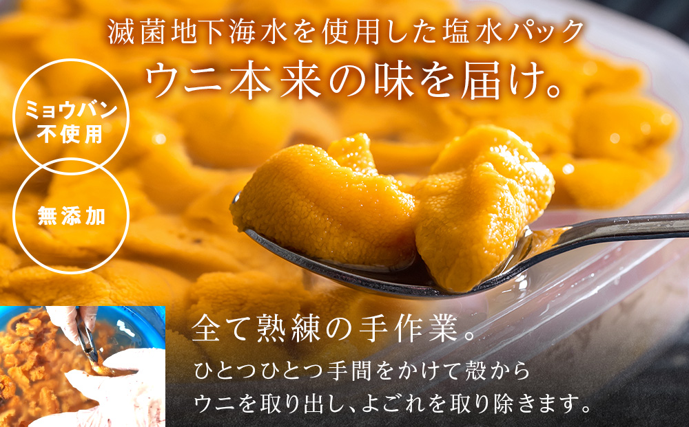 縲2026蟷エ8譛育匱騾√代く繧ソ繝繝ゥ繧オ繧ュ繧ヲ繝 200g (100gテ2繝代ャ繧ッ) シ懷茜蟆サ貍∵・ュ蜊泌酔邨蜷茨シ