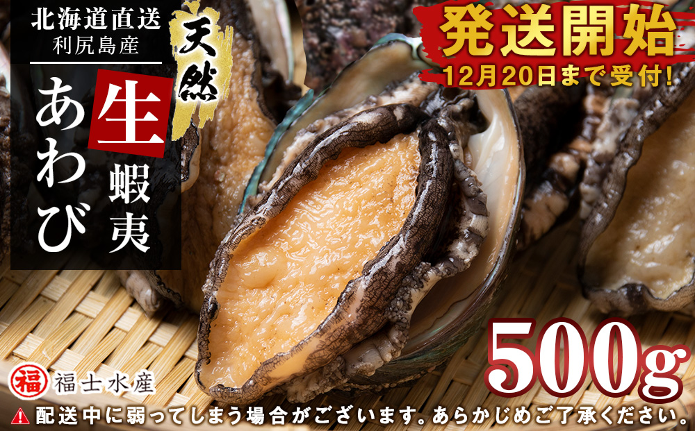 【発送開始】北海道 利尻島産 直送！天然 生えぞあわび 500g 鮑 海鮮 冷蔵 お刺身 魚介 お祝い 鮑 活き 天然【福士水産】