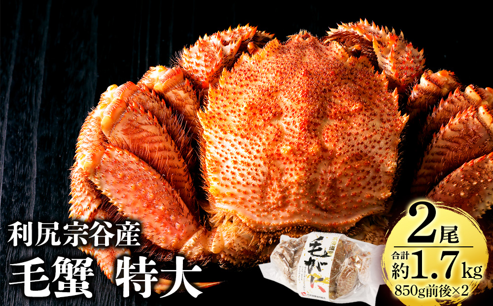 【随時発送（通年）】北海道 利尻・宗谷産 毛ガニ 特大サイズ（850g前後） 2尾セット＜利尻漁業協同組合＞