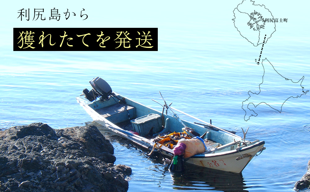 ★2026年7月発送★ 北海道 利尻島産 塩水生うに キタムラサキウニ 500g (100g×5パック)【福士水産】
