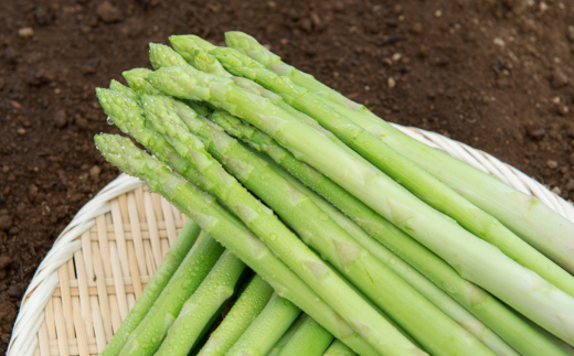 2025年産 ハウスアスパラ(夏芽) L サイズ 約1kg【配送不可地域：離島】 BHRG017