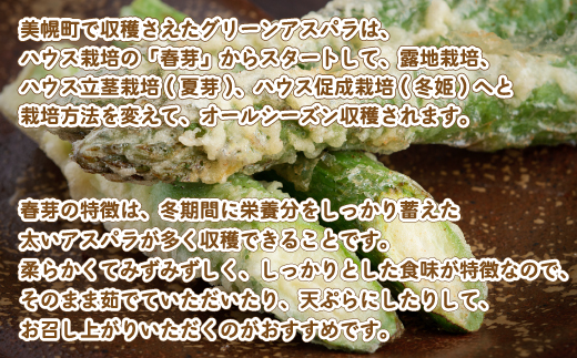 [先行受付]2025年産 柔らかくてみずみずしい朝取りグリーンアスパラ(春芽)3L 1kg【配送不可地域：離島】 BHRG028